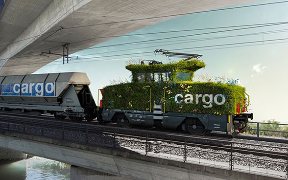 Eine mit Gras und Blumen bewachsene Lok und ein Güterwagen 