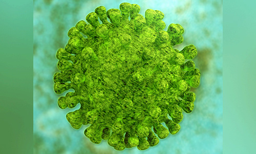 Mikroskopisch vergrösserter Virus